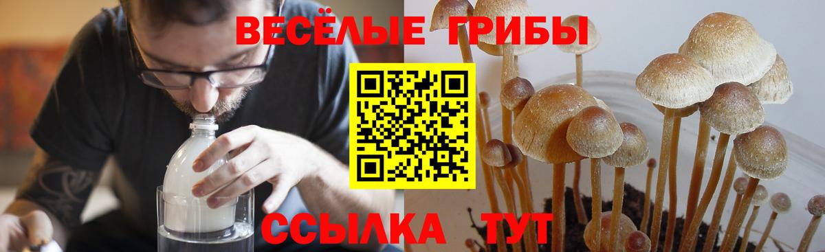 Псилоцибиновые грибы MAGIC MUSHROOMS  Вход с VPN  Менделеевск 